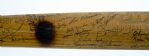 1961 Bobby Del Greco Kansas City A's Game-Used Team Signed Half Bat