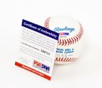 Ken Griffey Jr. Single Signed Baseball