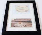 Carl Yastrzemski Vintage Original Photo + Signature Framed Piece
