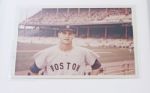 Carl Yastrzemski Vintage Original Photo + Signature Framed Piece