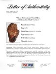Mark Gubiza Game Used Glove