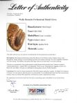 Wally Burnette Game Used Glove