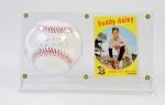 Bud Daley Single Signed Baseball Display