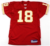 Game Used Football Jersey Kansas City Chiefs #18 2002